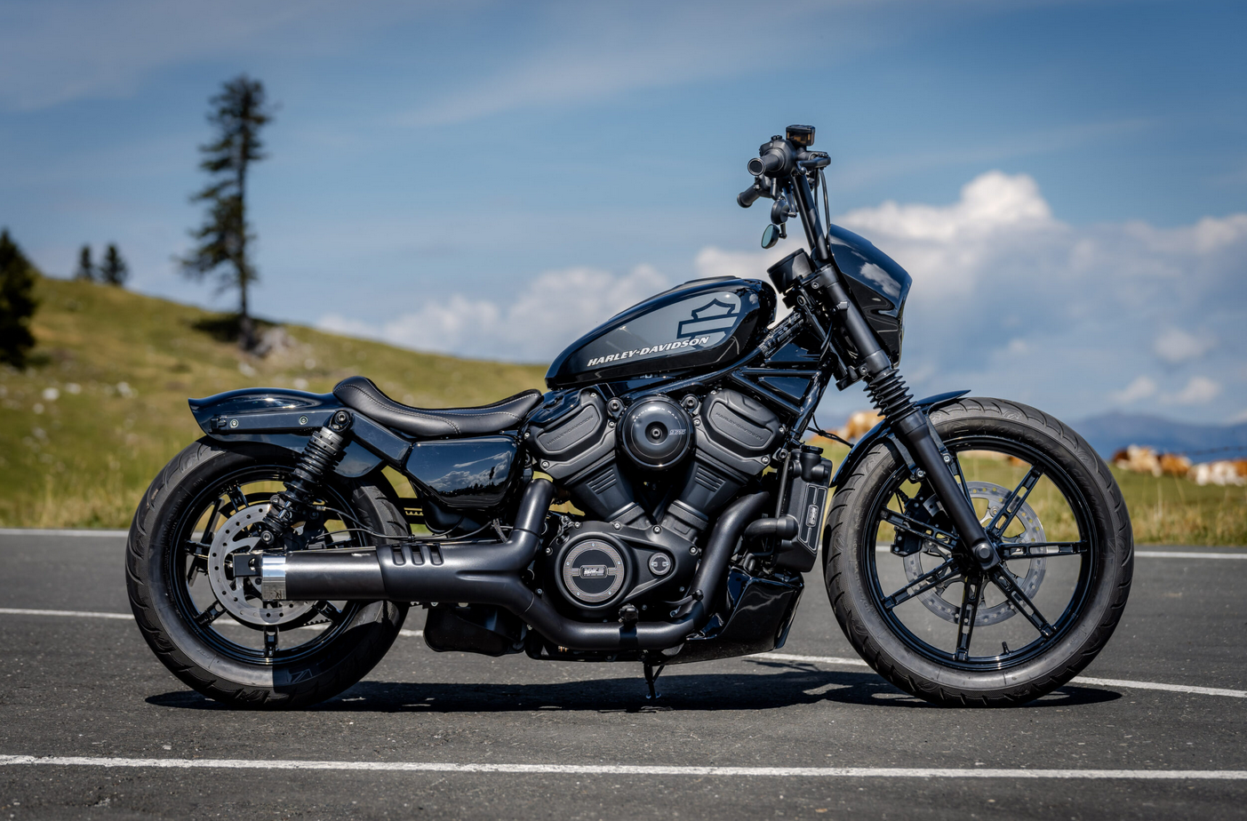 Nightster